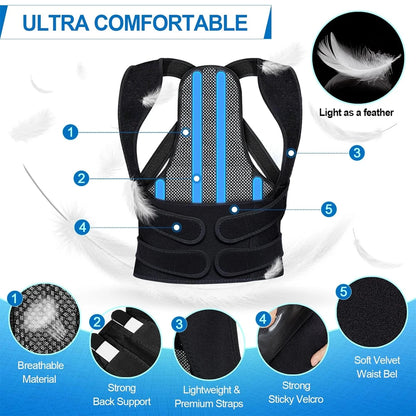 Lumbar Support Posture Braces